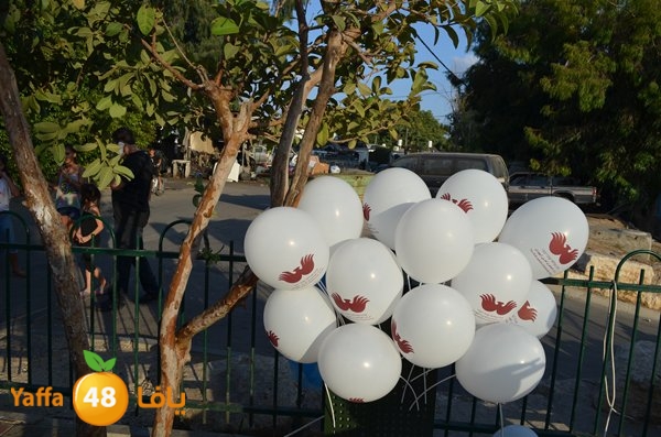 kids jamaherey 825 (10).JPG